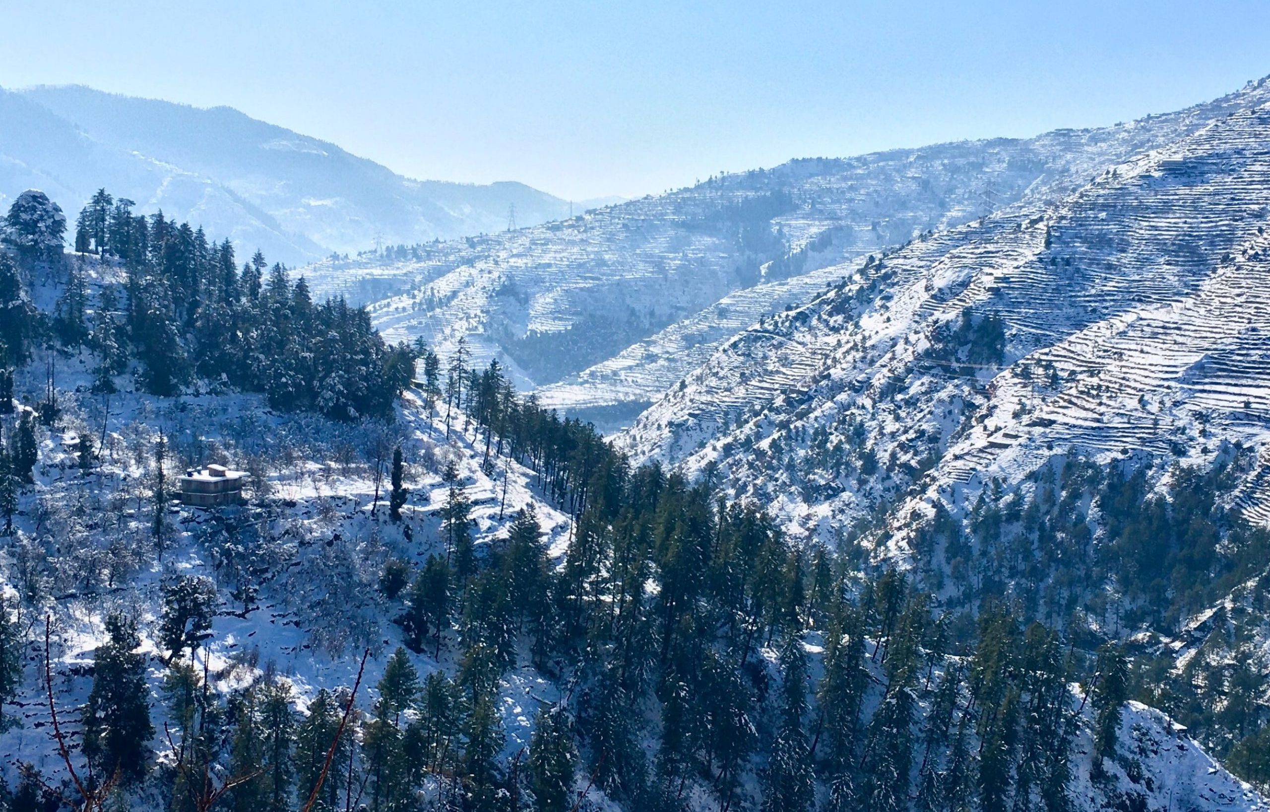 shimla4-scaled-e1654069392513